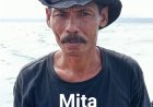 Mita